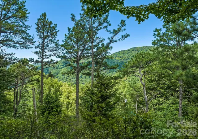 Photo 4 of Single family home for sale at 52 Steep Ln, Maggie Valley, NC 28751 | MLS# 4397095 | Listing updated on 2026-09-03