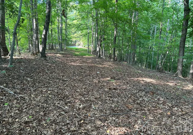 Photo 1 of Land for sale at 00 Wilderness Ridge, Rutherfordton, NC 28139 | MLS# 4403122 | Listing updated on 2026-09-03