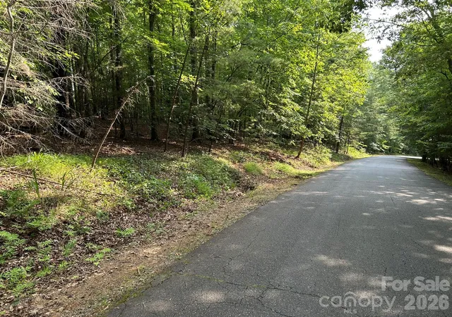 Photo 2 of Land for sale at 00 Wilderness Ridge, Rutherfordton, NC 28139 | MLS# 4403122 | Listing updated on 2026-09-03