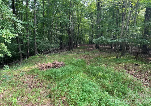 Photo 3 of Land for sale at 00 Wilderness Ridge, Rutherfordton, NC 28139 | MLS# 4403122 | Listing updated on 2026-09-03