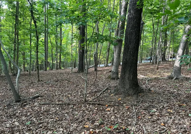 Photo 4 of Land for sale at 00 Wilderness Ridge, Rutherfordton, NC 28139 | MLS# 4403122 | Listing updated on 2026-09-03