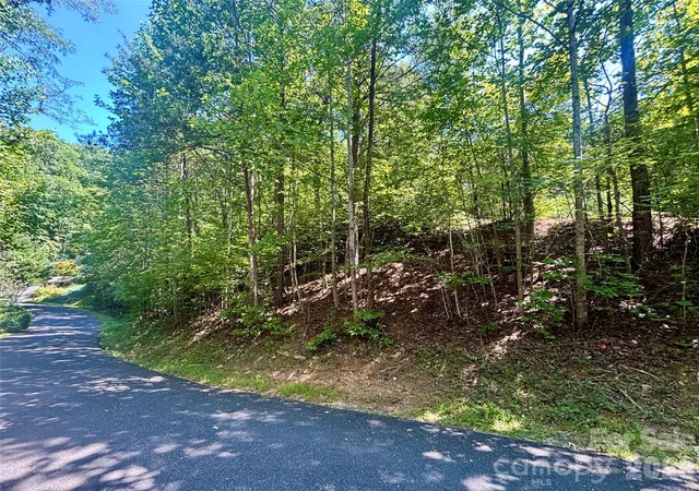 Photo 1 of Land for sale at Lot 77 Winesap Blvd, Lake Lure, NC 28746 | MLS# 4408140 | Listing updated on 2026-09-02