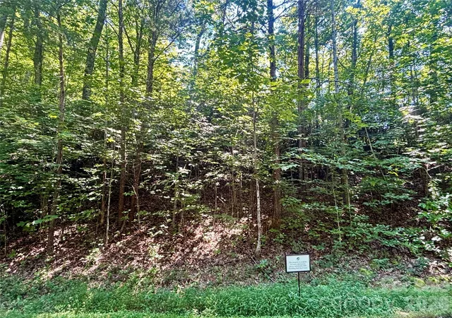 Photo 3 of Land for sale at Lot 77 Winesap Blvd, Lake Lure, NC 28746 | MLS# 4408140 | Listing updated on 2026-09-02