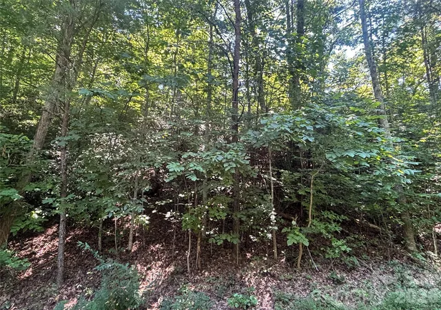 Photo 4 of Land for sale at Lot 77 Winesap Blvd, Lake Lure, NC 28746 | MLS# 4408140 | Listing updated on 2026-09-02