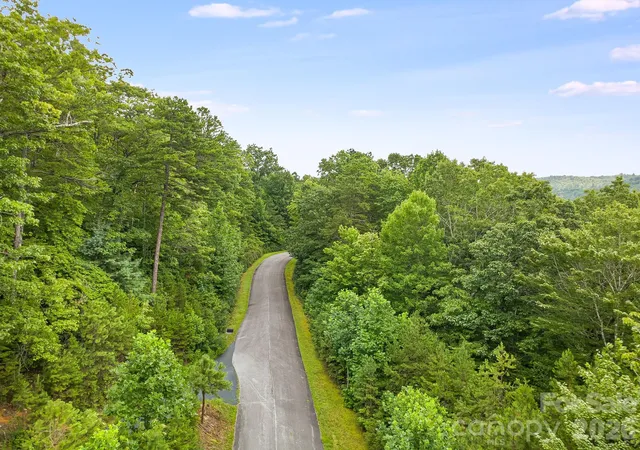 Photo 10 of Land for sale at 45 Lobdell Rd #45, Pisgah Forest, NC 28768 | MLS# 4408902 | Listing updated on 2026-09-02