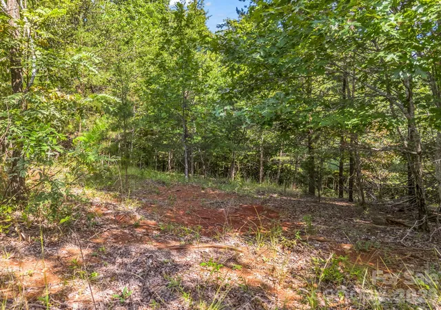 Photo 3 of Land for sale at 0 Stratford Dr, Bostic, NC 28018 | MLS# 4417675 | Listing updated on 2026-09-01