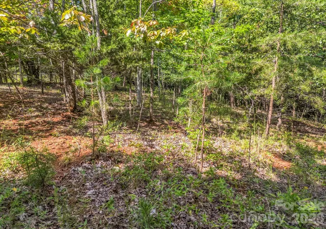 Photo 4 of Land for sale at 0 Stratford Dr, Bostic, NC 28018 | MLS# 4417675 | Listing updated on 2026-09-01