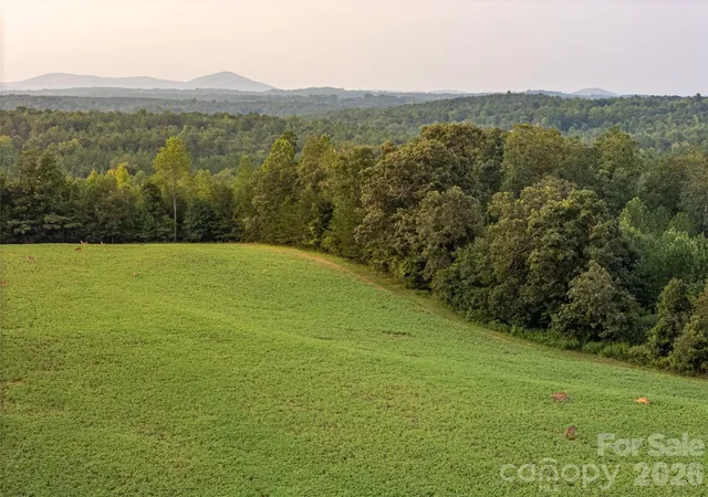 Photo 2 of Mansion for sale at 4013 Nc Hwy 18, Vale, NC 28168 | MLS# 4417782 | Listing updated on 2026-09-05