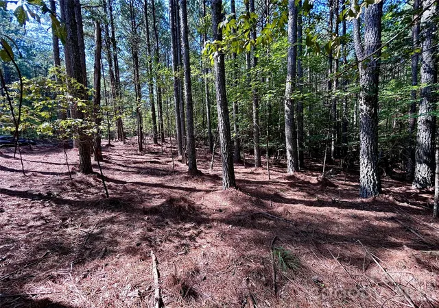 Photo 2 of Land for sale at 1461 Cordova Dr, Connelly Springs, NC 28612 | MLS# 4419780 | Listing updated on 2026-09-02
