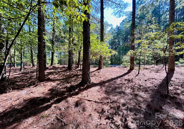 Photo 3 of Land for sale at 1461 Cordova Dr, Connelly Springs, NC 28612 | MLS# 4419780 | Listing updated on 2026-09-02