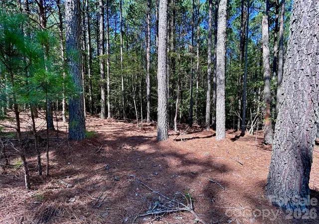 Photo 3 of Land for sale at 1461 Cordova Dr, Connelly Springs, NC 28612 | MLS# 4419780 | Listing updated on 2026-09-02