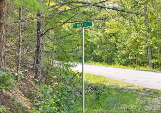 Photo 4 of Land for sale at Lots 21-a 22-b Quail Dr, Marion, NC 28752 | MLS# 4419805 | Listing updated on 2026-09-02