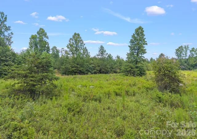 Photo 3 of Land for sale at 00 Chilly Bowl Rd, Rutherfordton, NC 28139 | MLS# 4419843 | Listing updated on 2026-09-03
