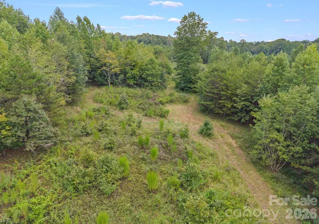 Photo 4 of Land for sale at 00 Chilly Bowl Rd, Rutherfordton, NC 28139 | MLS# 4419843 | Listing updated on 2026-09-03