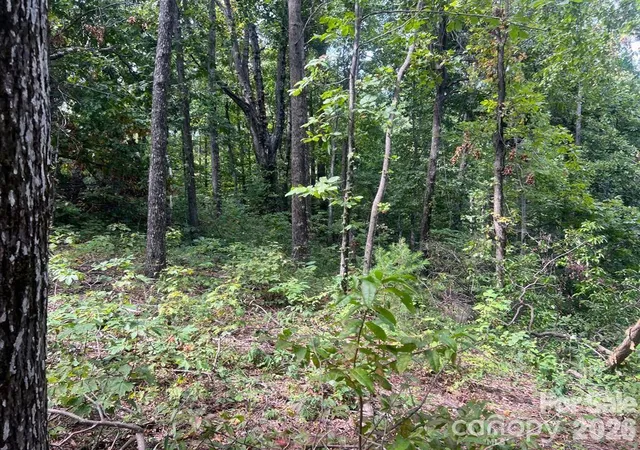 Photo 2 of Land for sale at 6792 Silver Crk Ln, Morganton, NC 28655 | MLS# 4420362 | Listing updated on 2026-09-01