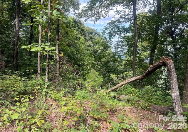 Photo 3 of Land for sale at 6792 Silver Crk Ln, Morganton, NC 28655 | MLS# 4420362 | Listing updated on 2026-09-01