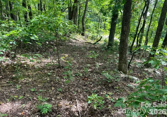 Photo 3 of Land for sale at 6792 Silver Crk Ln, Morganton, NC 28655 | MLS# 4420362 | Listing updated on 2026-09-01