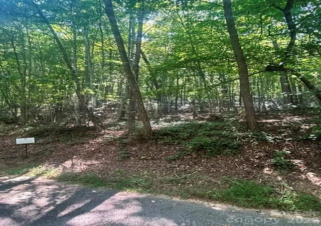 Photo 2 of Land for sale at Lot 272 Hummingbird Ct, Lake Lure, NC 28746 | MLS# 4420384 | Listing updated on 2026-09-03