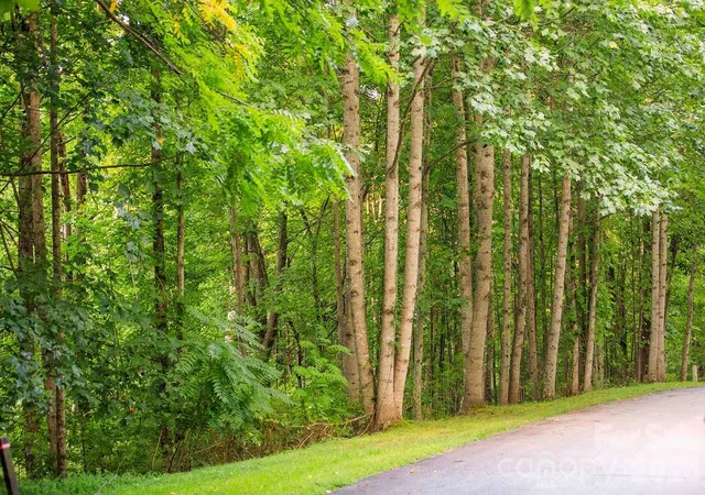 Photo 3 of Land for sale at 000 Ivywood Ln #13, Hendersonville, NC 28739 | MLS# 4420521 | Listing updated on 2026-09-03
