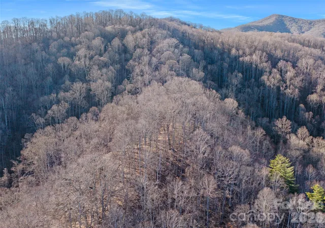 Photo 20 of Land for sale at 00 Lotties Crk Rd, Burnsville, NC 28714 | MLS# 4420549 | Listing updated on 2026-09-01