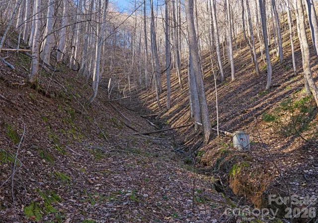 Photo 3 of Land for sale at 00 Lotties Crk Rd, Burnsville, NC 28714 | MLS# 4420549 | Listing updated on 2026-09-01