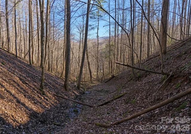 Photo 4 of Land for sale at 00 Lotties Crk Rd, Burnsville, NC 28714 | MLS# 4420549 | Listing updated on 2026-09-01