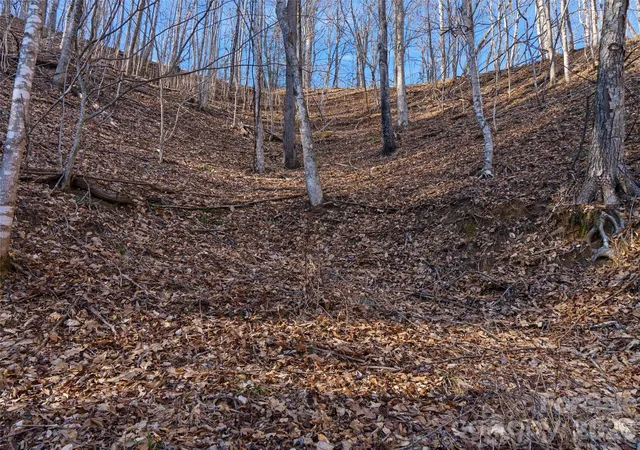 Photo 5 of Land for sale at 00 Lotties Crk Rd, Burnsville, NC 28714 | MLS# 4420549 | Listing updated on 2026-09-01