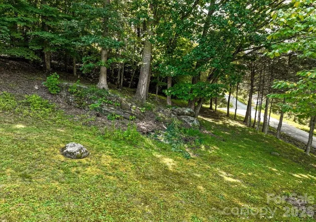 Photo 48 of Single family home for sale at 299 Mcdowell Ln, Burnsville, NC 28714 | MLS# 4420627 | Listing updated on 2026-09-02