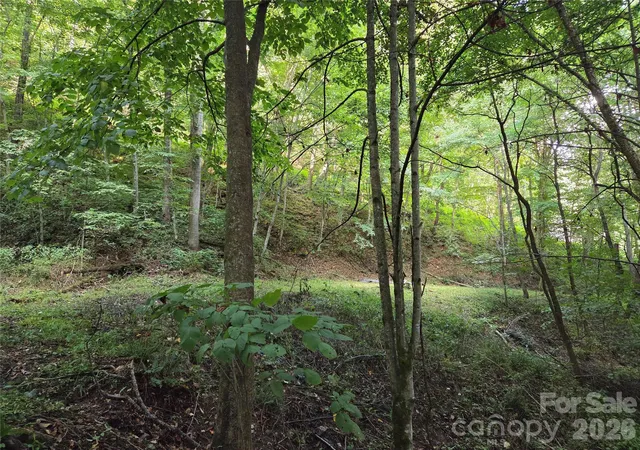 Photo 5 of Land for sale at 00 Creekside Dr, Maggie Valley, NC 28751 | MLS# 4420664 | Listing updated on 2026-09-02