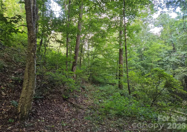 Photo 9 of Land for sale at 00 Creekside Dr, Maggie Valley, NC 28751 | MLS# 4420664 | Listing updated on 2026-09-02