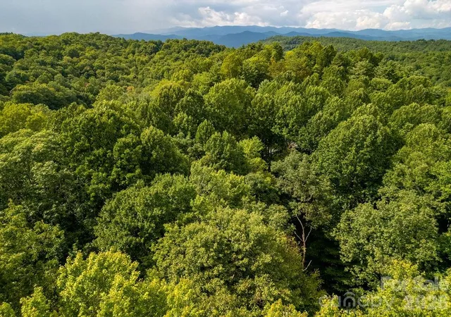 Photo 4 of Land for sale at Tbd Usdasdi Dr, Brevard, NC 28712 | MLS# 4420764 | Listing updated on 2026-09-04