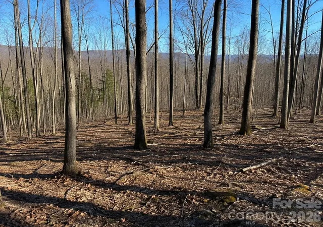 Land for sale at 00 Crab Apple Dr, Burnsville, NC 28714 | MLS# 4420779
