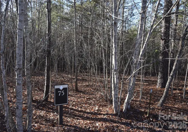 Photo 1 of Land for sale at Lot 75 Tayberry Dr, Nebo, NC 28761 | MLS# 4420883 | Listing updated on 2026-09-07
