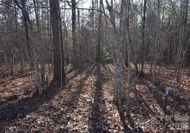 Photo 3 of Land for sale at Lot 75 Tayberry Dr, Nebo, NC 28761 | MLS# 4420883 | Listing updated on 2026-09-07