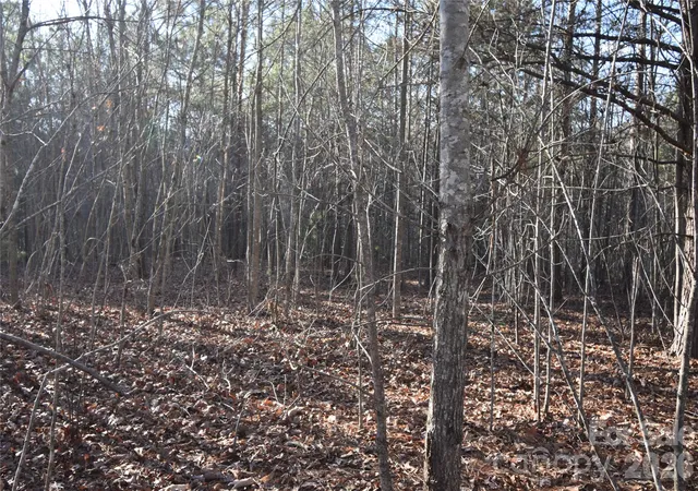 Photo 3 of Land for sale at Lot 75 Tayberry Dr, Nebo, NC 28761 | MLS# 4420883 | Listing updated on 2026-09-07