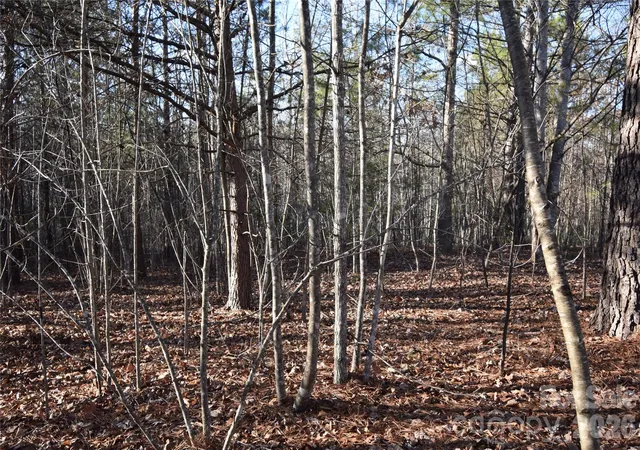 Photo 4 of Land for sale at Lot 75 Tayberry Dr, Nebo, NC 28761 | MLS# 4420883 | Listing updated on 2026-09-07