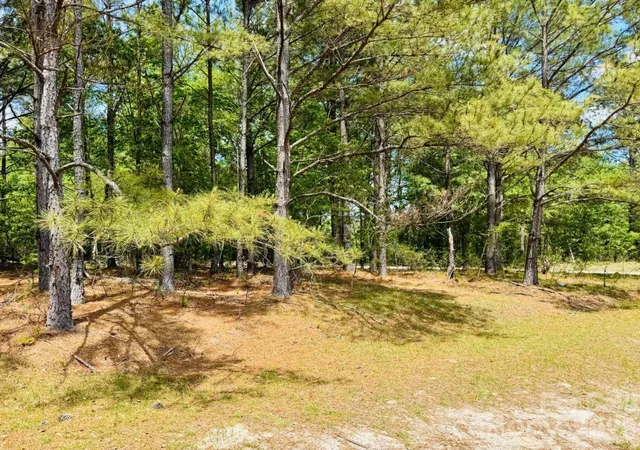 Photo 1 of Land for sale at 385 Elbert Baskins Rd, Cheraw, SC 29520 | MLS# 4421014 | Listing updated on 2026-09-02