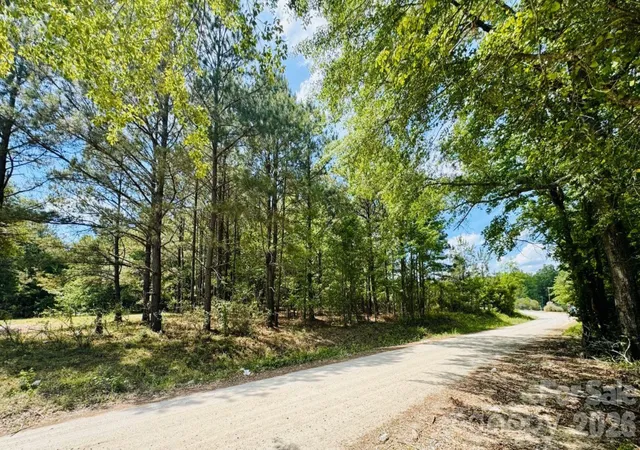 Photo 11 of Land for sale at 385 Elbert Baskins Rd, Cheraw, SC 29520 | MLS# 4421014 | Listing updated on 2026-09-02