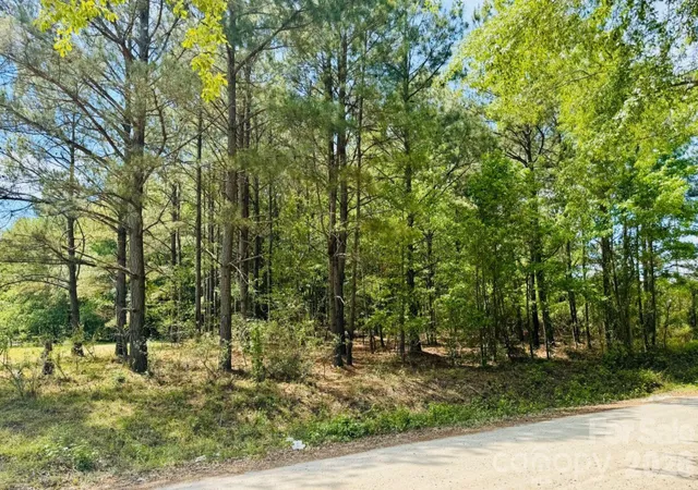 Photo 3 of Land for sale at 385 Elbert Baskins Rd, Cheraw, SC 29520 | MLS# 4421014 | Listing updated on 2026-09-02