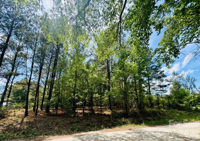 Photo 4 of Land for sale at 385 Elbert Baskins Rd, Cheraw, SC 29520 | MLS# 4421014 | Listing updated on 2026-09-02