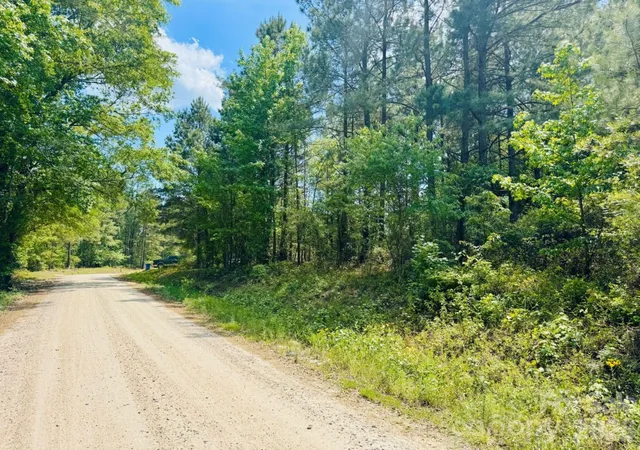 Photo 5 of Land for sale at 385 Elbert Baskins Rd, Cheraw, SC 29520 | MLS# 4421014 | Listing updated on 2026-09-02