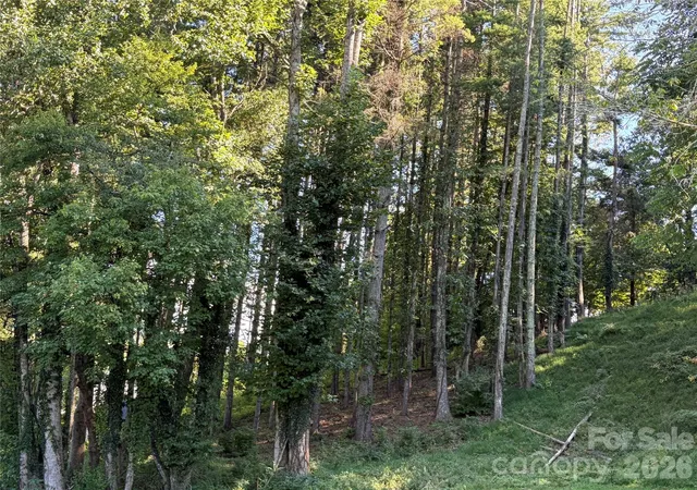 Photo 3 of Land for sale at 51 Barebridge Flds Rd #51, Burnsville, NC 2874 | MLS# 4421046 | Listing updated on 2026-09-03