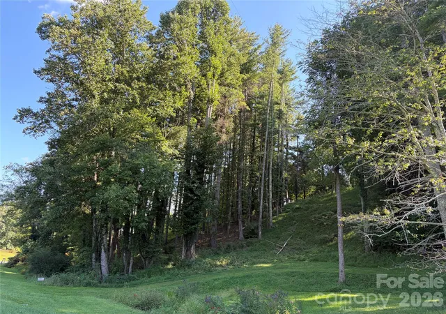 Photo 3 of Land for sale at 51 Barebridge Flds Rd #51, Burnsville, NC 2874 | MLS# 4421046 | Listing updated on 2026-09-03