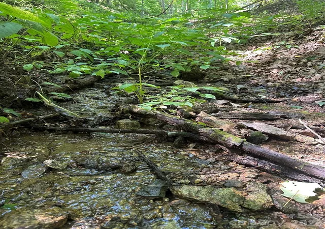 Photo 3 of Land for sale at 99999 Running Bear Rd, Hot Springs, NC 28743 | MLS# 4421121 | Listing updated on 2026-09-03