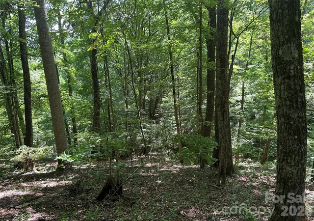Photo 4 of Land for sale at 99999 Running Bear Rd, Hot Springs, NC 28743 | MLS# 4421121 | Listing updated on 2026-09-03