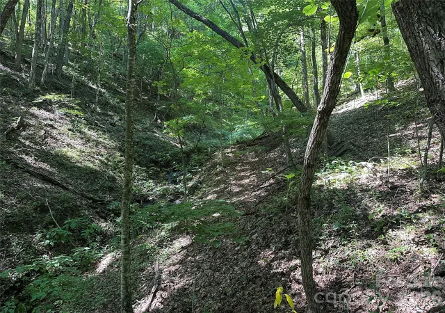 Photo 5 of Land for sale at 99999 Running Bear Rd, Hot Springs, NC 28743 | MLS# 4421121 | Listing updated on 2026-09-03