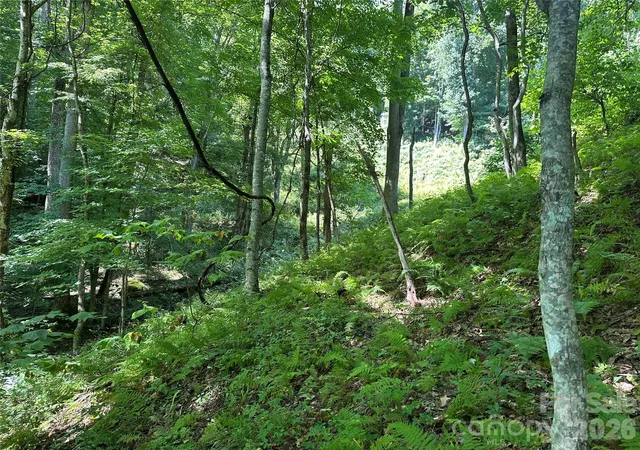 Photo 8 of Land for sale at 99999 Running Bear Rd, Hot Springs, NC 28743 | MLS# 4421121 | Listing updated on 2026-09-03