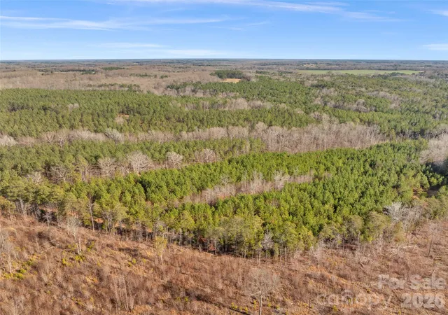 Photo 31 of Land for sale at 000 Peacehaven Rd #7, Mc Connells, SC 29726 | MLS# 4421242 | Listing updated on 2026-09-03