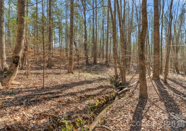 Photo 4 of Land for sale at 000 Peacehaven Rd #7, Mc Connells, SC 29726 | MLS# 4421242 | Listing updated on 2026-09-03