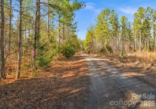 Photo 5 of Land for sale at 000 Peacehaven Rd #7, Mc Connells, SC 29726 | MLS# 4421242 | Listing updated on 2026-09-03